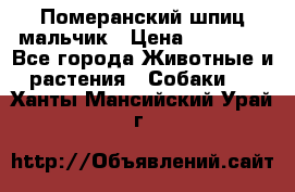 Померанский шпиц мальчик › Цена ­ 30 000 - Все города Животные и растения » Собаки   . Ханты-Мансийский,Урай г.